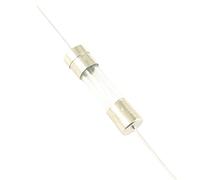 5pcs Glass Tube Fuse 5x20mm 5 * 20mm Quick Fast/Slow Blow Time Delay Axial Links Lead 250V 1A 2A 3A 3.15A 4A 5A 6.3A 8A 10A 15A(3.15A,Fast Blow-F)