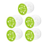 5pcs Hydroponic Flower Vase Vase Trasparente Disposizione dei fiori Contenitore