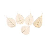 5pcs oro pressato foglie di tiglio foglie di bodhi per artigianato scrapbooking