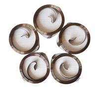 5pcs Recoil Starter Spring compatibile con GX160 GX200 GX120 GXV160 168F 170F 5. 5 6. Sostituzione del motore del motore a gas da 5 CV per l'alimentazione del generatore(5 pieces)