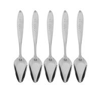 5Pcs Stainless Steel Bird Feeding Spoon | No Leak Design for Parrots/Cockatiels/Lovebirds | Long - lasting & Rustproof Pet Spoon Set | 15cm Lightweight Travel Spoon