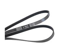 5PJ1244 5EPJ1244 Cinghia del cestello della lavatrice for TCL Beko (universale 4PJ1244 4PJE1244) Parti for lavatrice N