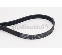 Cinghia Poly V Continental Ctam 5PK1207 per Mitsubishi Opel Rover Vauxhall