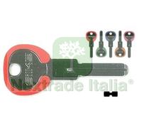 5PZ CHIAVI PUNZONATE PER CILINDRI AGB AGB5DZ AGB5DZ SILKY 5 COLORI ASSORTITI :