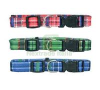 5PZ COLLARE PER CANI IN NYLON CM.40 55X2:
