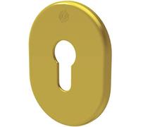 5PZ MOSTRINA PORTA BLINDATA 4302 SECUREMME F.SAGOM OTTONE LUCIDO MM 62X82