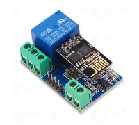 5V/12V ESP8266 Dual Channel WiFi Relay Module - IoT Smart Home Remote Control Switch with Mobile APP(1way12V)
