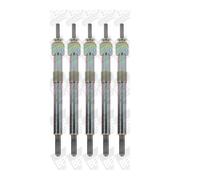 5X BORGWARNER (BERU) GN040 Candele Di Accensione