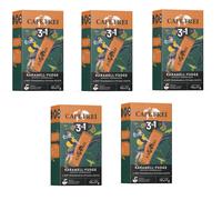 (5x) CAFE FREI 3IN1 CAFFÈ ISTANTANEO CON CARAMELLO-FUDGE AROMATIZZATO -10X17GR