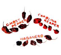 5x carolina reaper 5x naga bhut jolokia ghost pepper 5x habanero pods il peperoncino intero più piccante del mondo essiccato