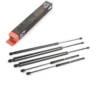 5x Gasfeder Cofano Motore Set per Mercedes EQV Marco Polo V-Klasse W447