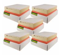 5X MANN-FILTER Filtro Dell'Aria C 29 198/1