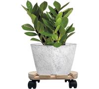 5X Piante Roller Rotondo 30Cm 120 Kg Vassoio Per Vaso Carrello