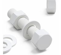 5x Viti testa esagonale PP bianche dadi rondelle M20 x 100 mm