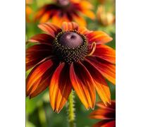 5x7 Lined Notebook - Small Soft Matte Journal for Writing: A stylish and thoughtful gift for students, writers, and creatives on the go