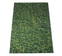 5X7Ft(150X210Cm) Priorità Bassa Di Compleanno Di Cerimonia Nuziale Di Cerimonia Nuziale Di Contesti 'Erba Verde Della Natura