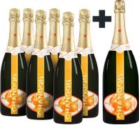 6+1 MAGNUM Gratis Chandon Garden Spritz - 6 x 0,75 L + 1,5 L