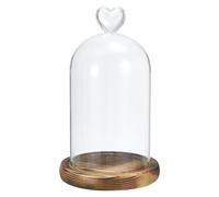 6.3"x3.9" Cupola Vetro Cloche Trasparente Vetro Campana Vaso Espositore