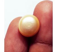 6.30 KT Roundish Naturale D'Acqua Dolce Perla Bianca Certificato Loose Gemma