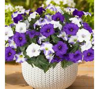 6/4/2/1 mazzo di fiori artificiali di fiordaliso viola & bianco per esterni, resistente ai raggi UV e al sole, piante da giardino resistenti ai raggi UV per esterni, fiori finti, adatti per decorazion