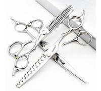 6/6.5/6.8/7 pollici 440C da parrucchiere forbici (6.5+6 pollici - 3pc-B)