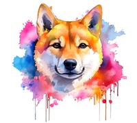 6 adesivi sticker auto cane Shiba Inu 30 x 30 cm