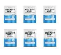 (6) BioTechUSA 100% PURE WHEY PROTEIN POWDER 28GR-RISE PUDDING FLAVOUR VENDIT...