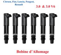 Clio II Laguna II AVANTIME 3.0 V6 - 6 Bobine Accensione 7701479027 9633001580