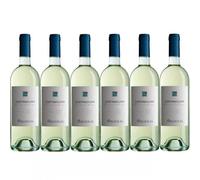6 Bottiglie 6 COSTAMOLINO Vermentino di Sardegna Argiolas 2025 Argiolas 75
