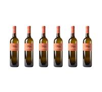 6 bottiglie di Friulano DOC dei Colli Orientali del Friuli | Cantina Petrucco | Annata 2017