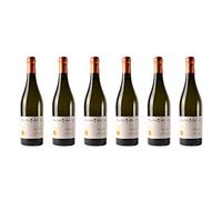 6 bottiglie di Moscato d'Asti DOCG | Cantina Dante Rivetti | Annata 2017