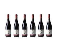 6 bottiglie di Pinot Nero DOC"Rubé" | Cantina Paravella | Annata 2017