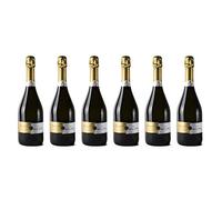 6 bottiglie di Prosecco di Treviso DOC | Cantina Colli del Soligo