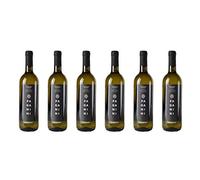 6 bottiglie di Riviera Ligure di Ponente Vermentino DOC | Cantina Paganini | Annata 2017