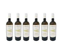 6 Bottiglie di Tenute del Pojo Sòdera Passerina Terre di Chieti I.G.P