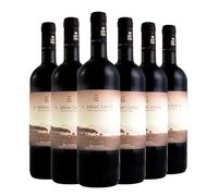 6 Bottiglie Il Bruciato Bolgheri 2024