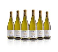 6 BOTTIGLIE NOSIOLA FOLADA 0.75 L | CANTINA PISONI