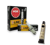 6 candele V-Line adatte per BMW Serie 3 E46 320i 323i 325i 328i 330i + grasso di rame