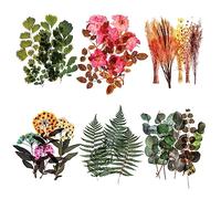 6 confezioni di adesivi per album Grande taglia Adesivi per decorazioni murali ANIMALE DOMESTICO Adesivi floreali Adesivi per piante per diari di finestre fai da te arti e mestieri