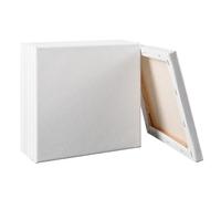 6 cornici bianche per artisti, 100% cotone, tela bianca pre-allungata, tripla primer/senza acidi/grana media/pittura acrilica per artisti professionisti, pittura ad olio per pittura (20 cm x 20 cm)