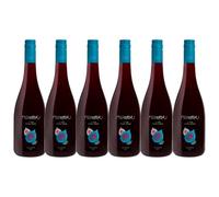 6 FICHIMORI Rosso Salento IGT TORMARESCA