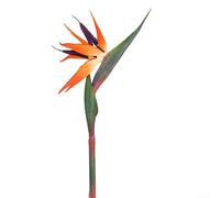 6 fiori artificiali di uccello del paradiso con steli pieghevoli per interni giardino e decorazione di nozze, progettati per l'uso in case, hotel, uffici ed eventi (tromba arancione)