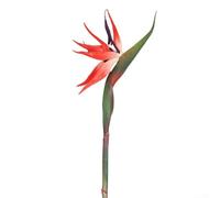 6 fiori artificiali di uccello del paradiso con steli pieghevoli per interni giardino e decorazione di nozze, progettati per l'uso in case, hotel, uffici ed eventi (rosso tromba)