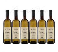 6 GEWURZTRAMINER Trentino DOC Fondazione MACH