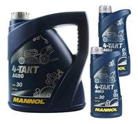 Mannol Olio motore 7203 4 tempi Agro SAE 30 API SL JASO MA/MA2 6 litri