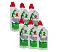 6 Litri Olio Motore Castrol Garden 4T 10W30 Confezione da 6x1L