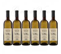 6 MULLER THURGAU Trentino DOC Fondazione E. MACH