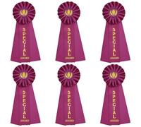 6 nastri per il riconoscimento della vittoria con biglietto per eventi e stringa nastri viola per partecipazione Nastro per premi per bambini Concorsi scolastici Evento sportivo squadra ufficio