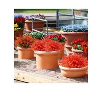 6 Pack Artificial Eucalyptus Plants, Fake Boxwood Shrubs UV Resistant No Fading Artificial Plastic Green Plants Wedding Bridal Bouquet Indoor Outdoor