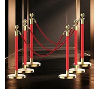 6 Paletto di Sostegno, Corda in Acciaio Inox, Barriera di Parcheggio per Decorazioni per Feste, Teatri, Matrimoni, Musei, Mostre